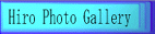 Hiro Photo Gallery